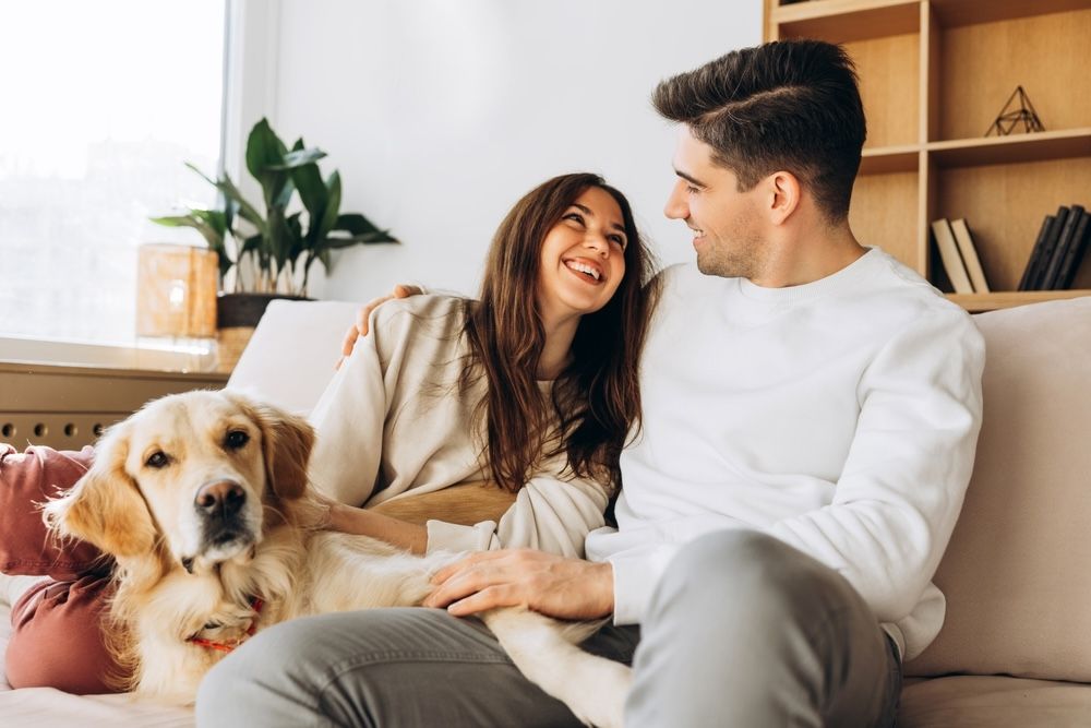 Cheerful couple laughing and enjoying quality time on a cozy sofa with their adorable golden retriever