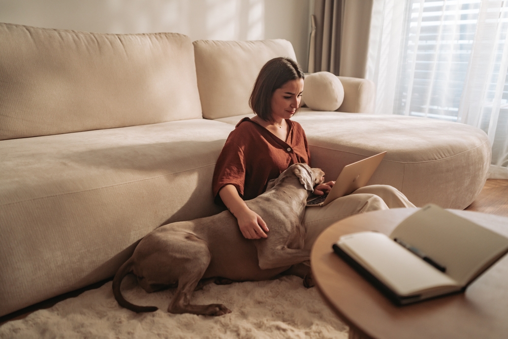 How to remortgage: review, compare and switch your deal