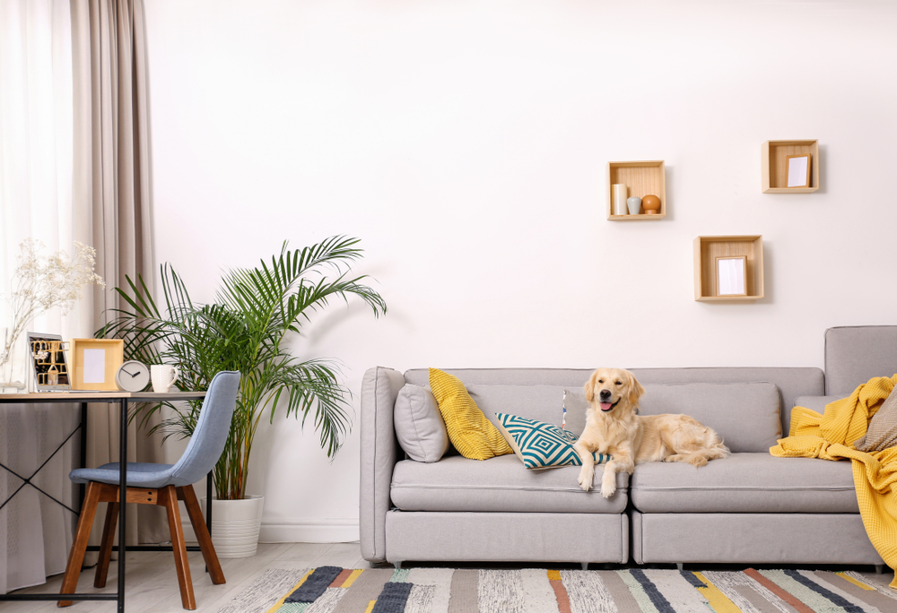 What is a mortgage?