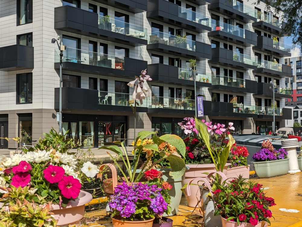 buy-to-let mortgage timeline