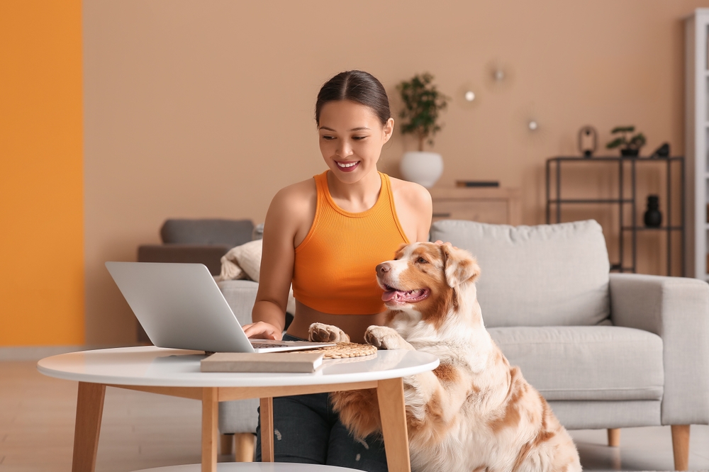 Young woman wearing an orange top using laptop with cute Australian Shepherd dog in living room